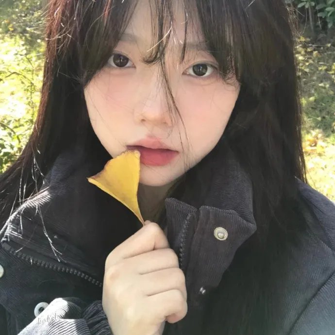 刀枪姊妹