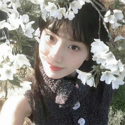 选战伪术师
